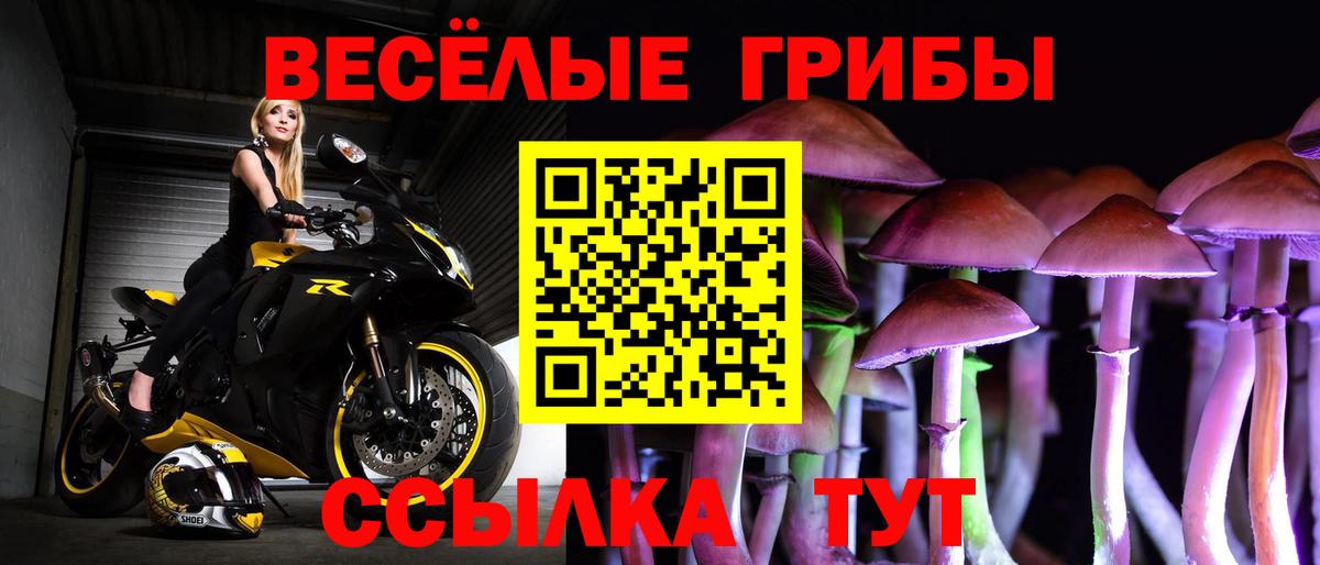 Псилоцибиновые грибы мицелий Мариинск
